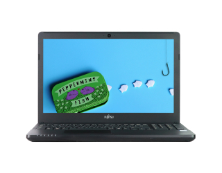 БУ Ноутбук 15.6&quot; Fujitsu LifeBook A556 Intel Core i5-6200U 8Gb RAM 240Gb SSD из Европы в Одессе