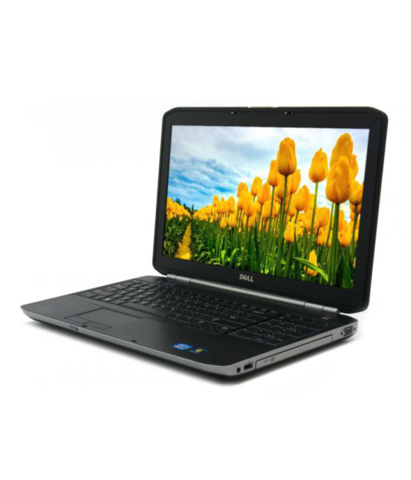 Ноутбук Dell Latitude E5520 / 15.6&quot; (1366x768) TN / Intel Core i3-2330M (2 (4) ядра по 2.2 GHz) / 4 GB DDR3 / 500 GB HDD / Intel HD Graphics 3000 / DVD-ROM / Win 10 Pro - 1